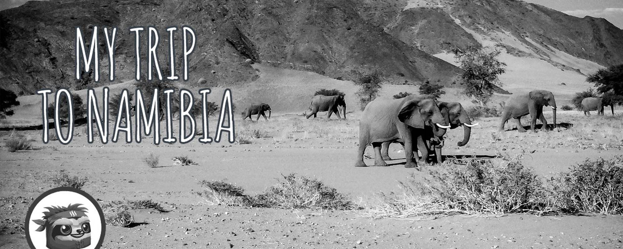 My trip to Namibia (4): African landscapes in black and white