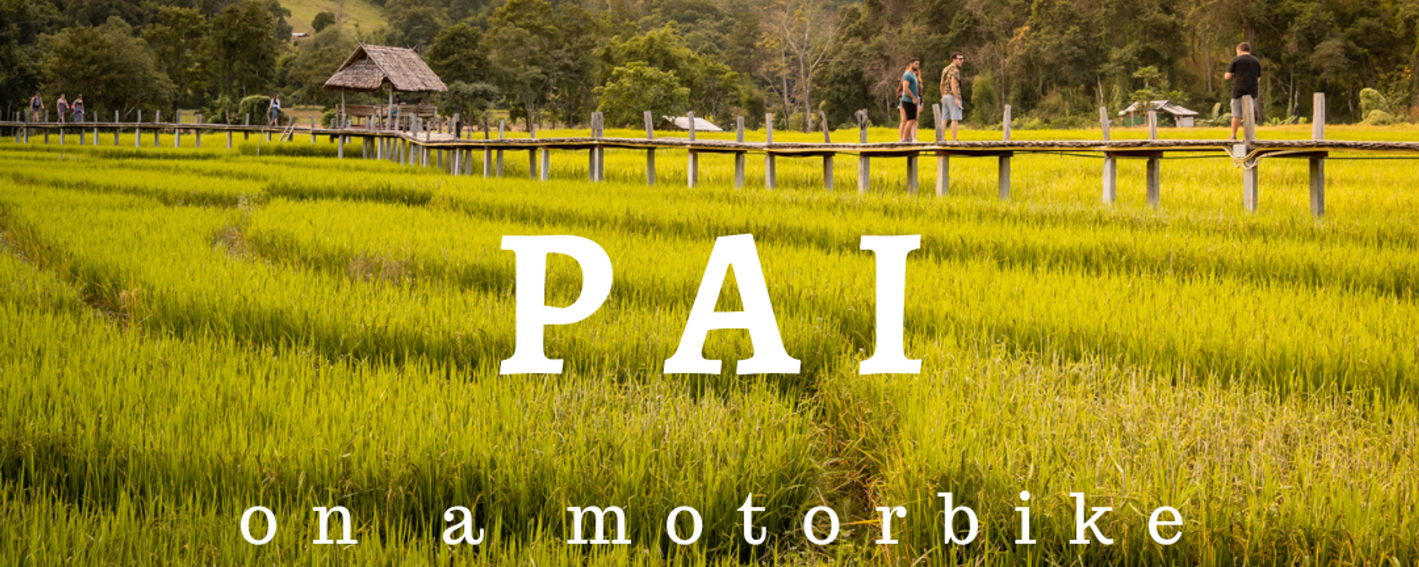 Pai on a Motorbike: Land Splits, Bamboos and Canyons