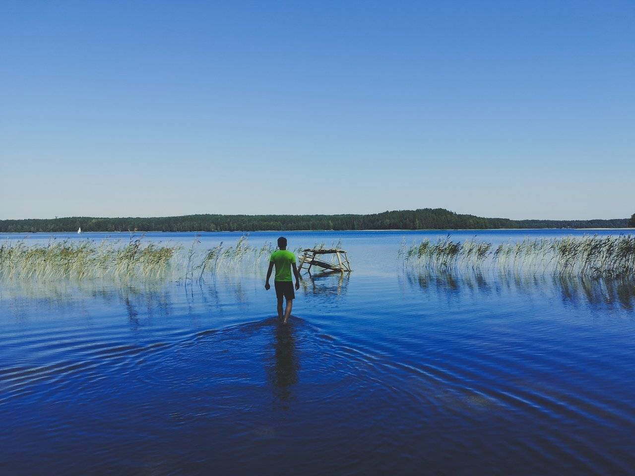   Wading on White Lakajai Lake in Labanoras Regional Park, Lithuania. Photo Alis Monte [CC BY-SA 4.0], via Connecting the Dots