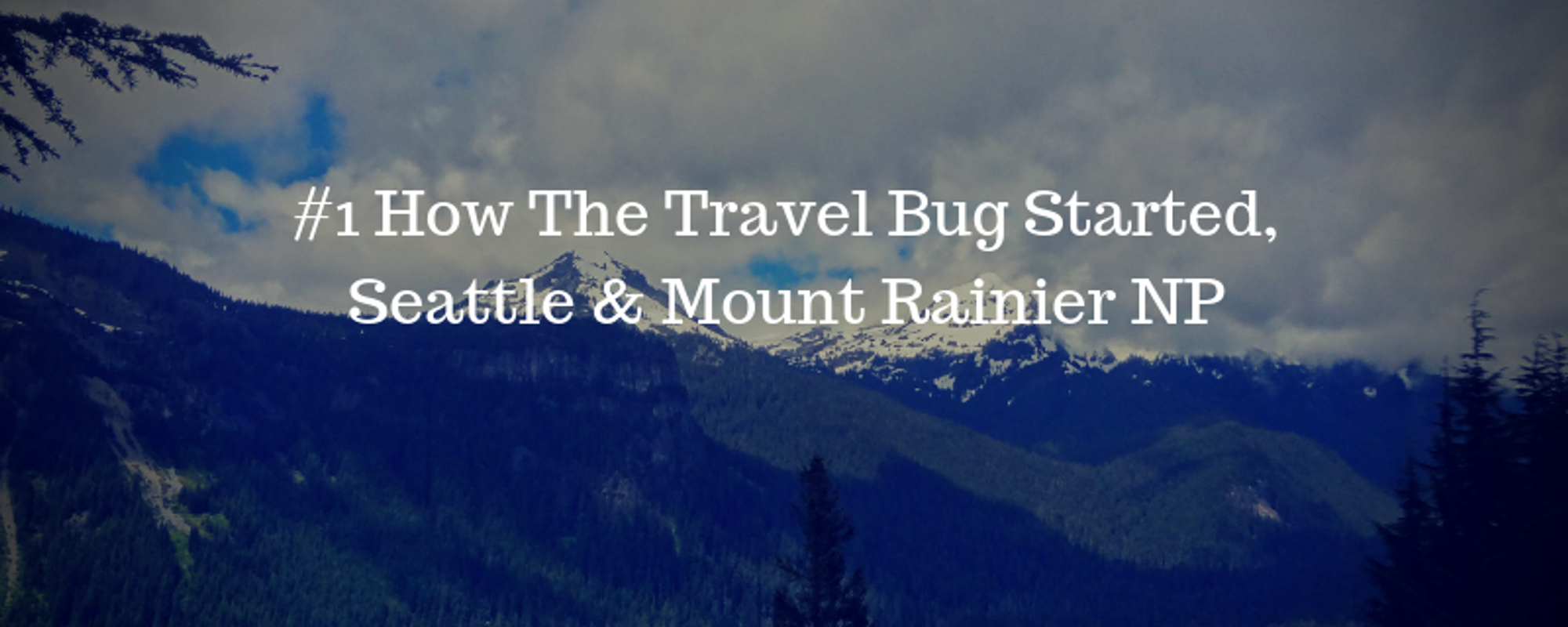 Havey's Travel Diary #1 - How The Travel Bug Started, Seattle & Mount Rainier NP