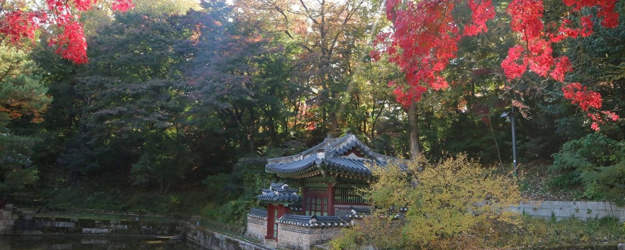 World Heritage Changdeokgung Huwon, Korea