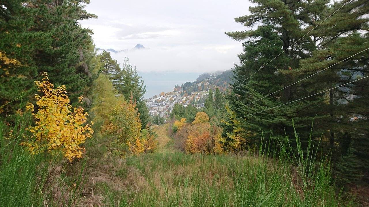 The trees open up to give a great view of the town as you make your steep ascent