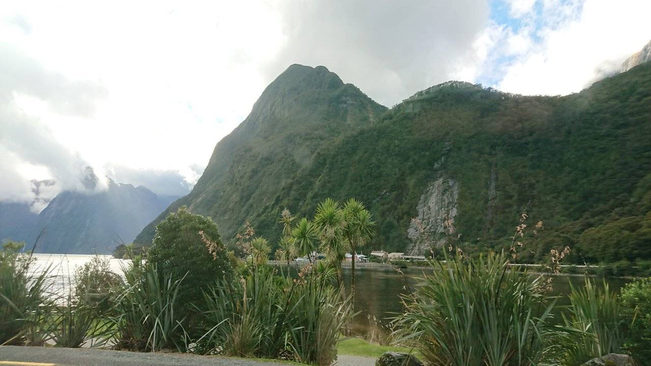 A final picture of Milford Sounds before we say farewell!