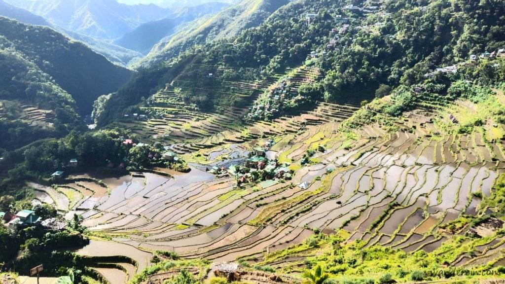 Best time to go in Batad Banaue rice terraces