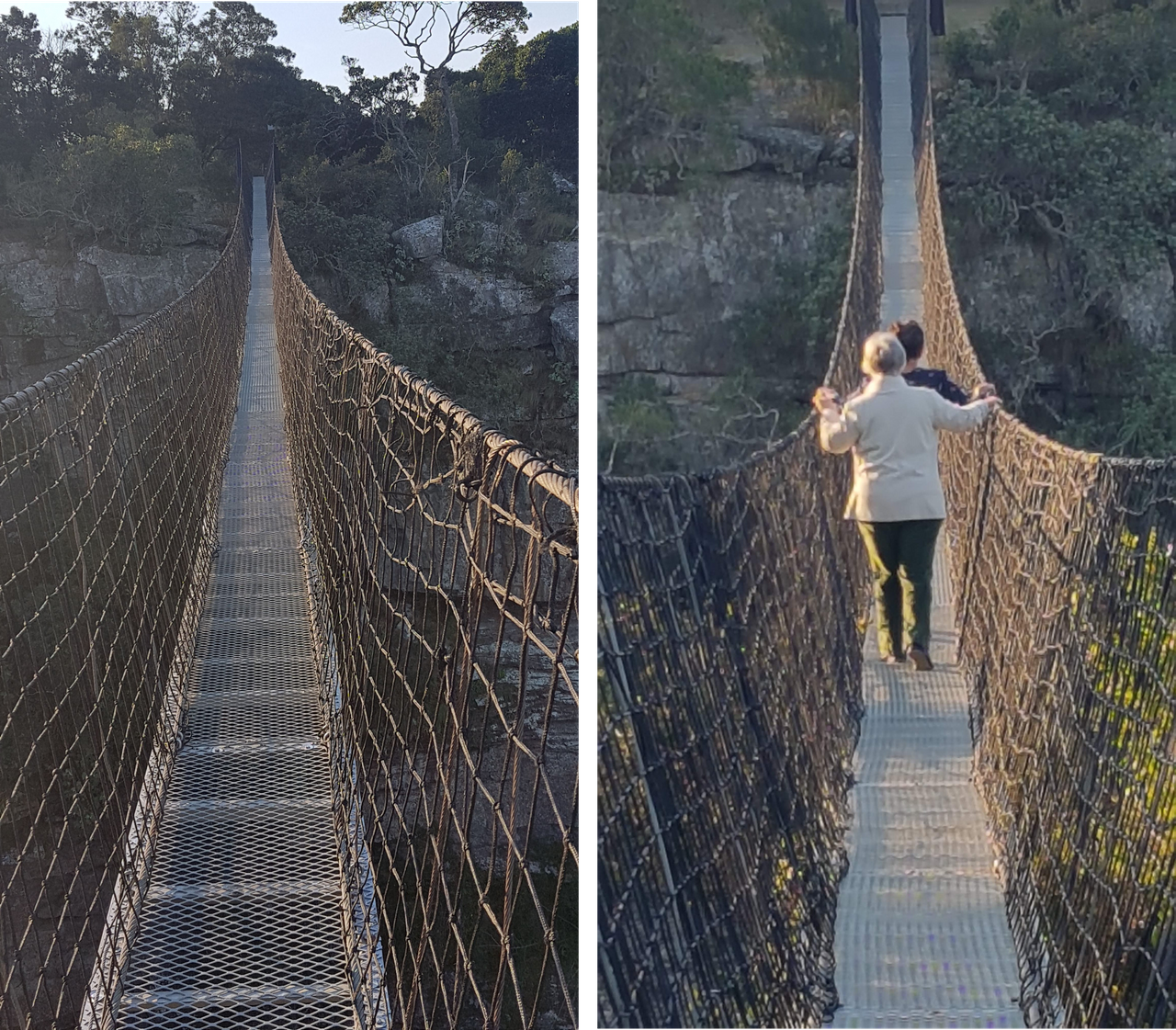 Oribi suspension bridge Liz Pat.png