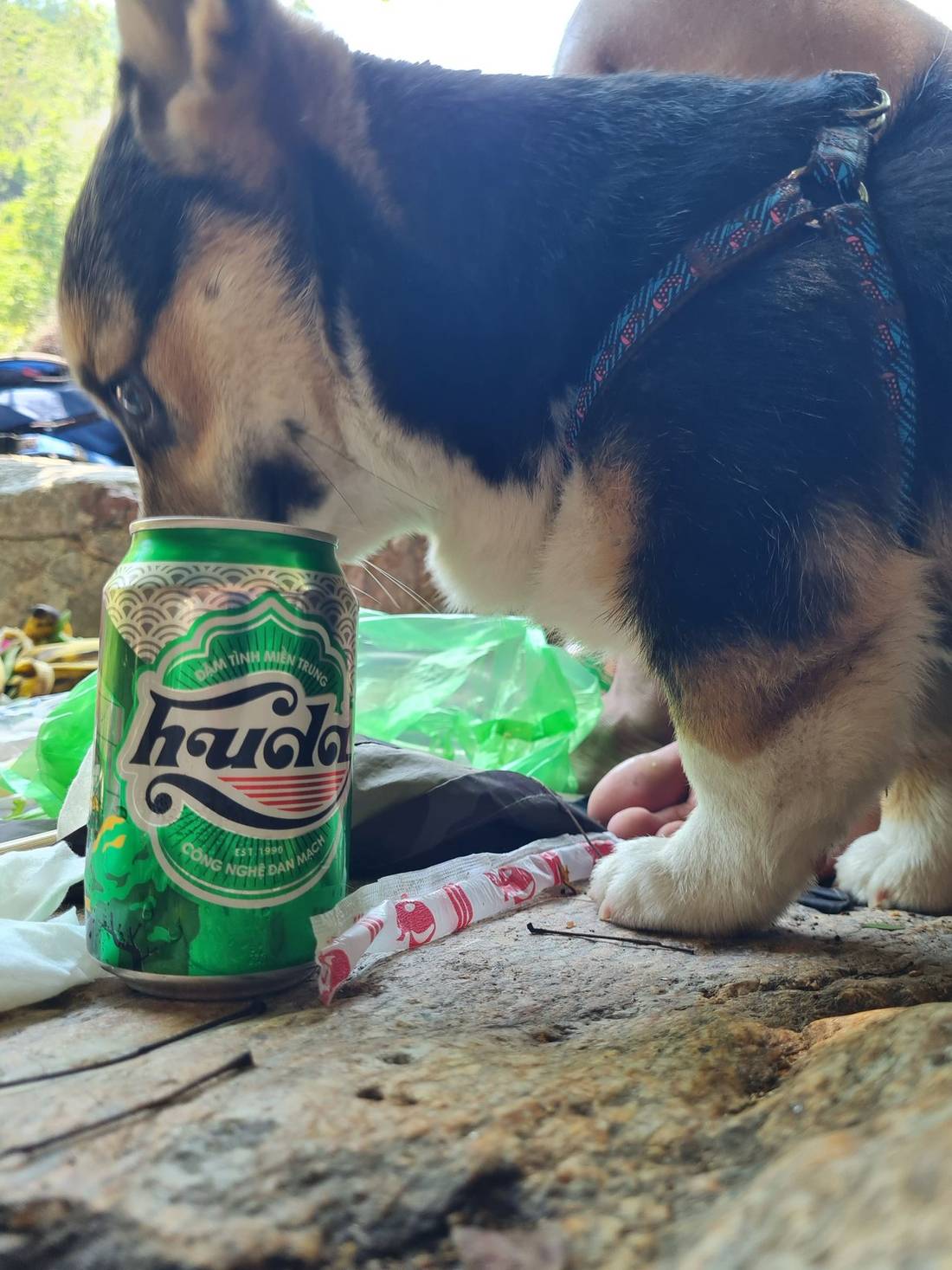 just kidding his nose sniffing food, not drinking beer... it just is a perspective trick that makes it looks like he is drinking