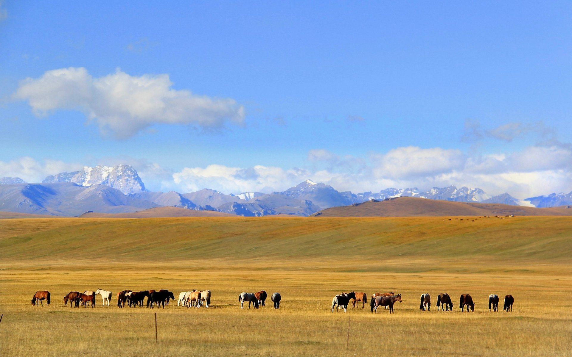 Xinjiang