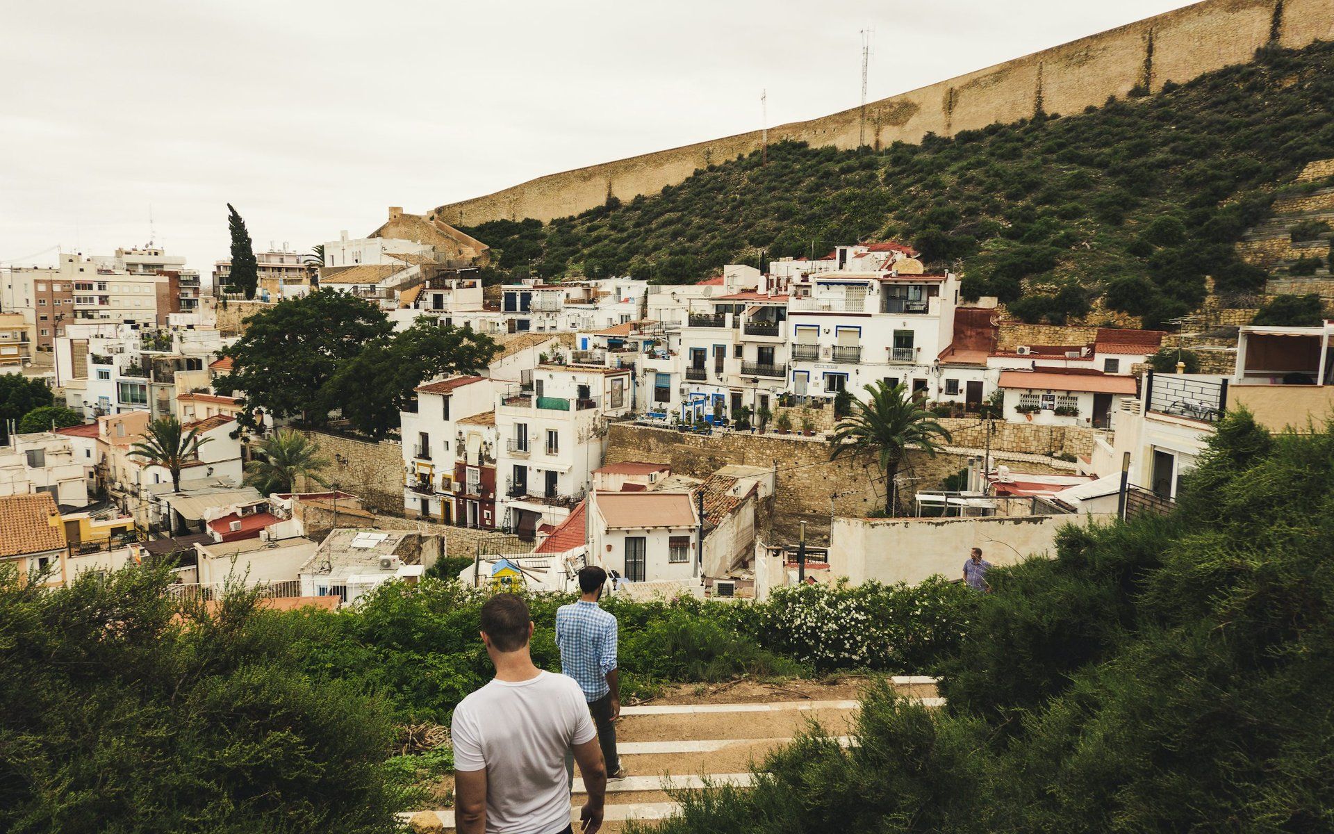 Alicante