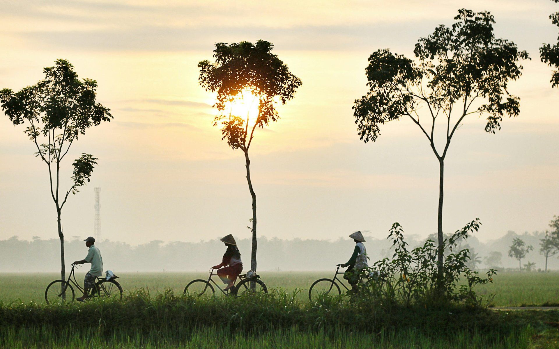 Central Kalimantan