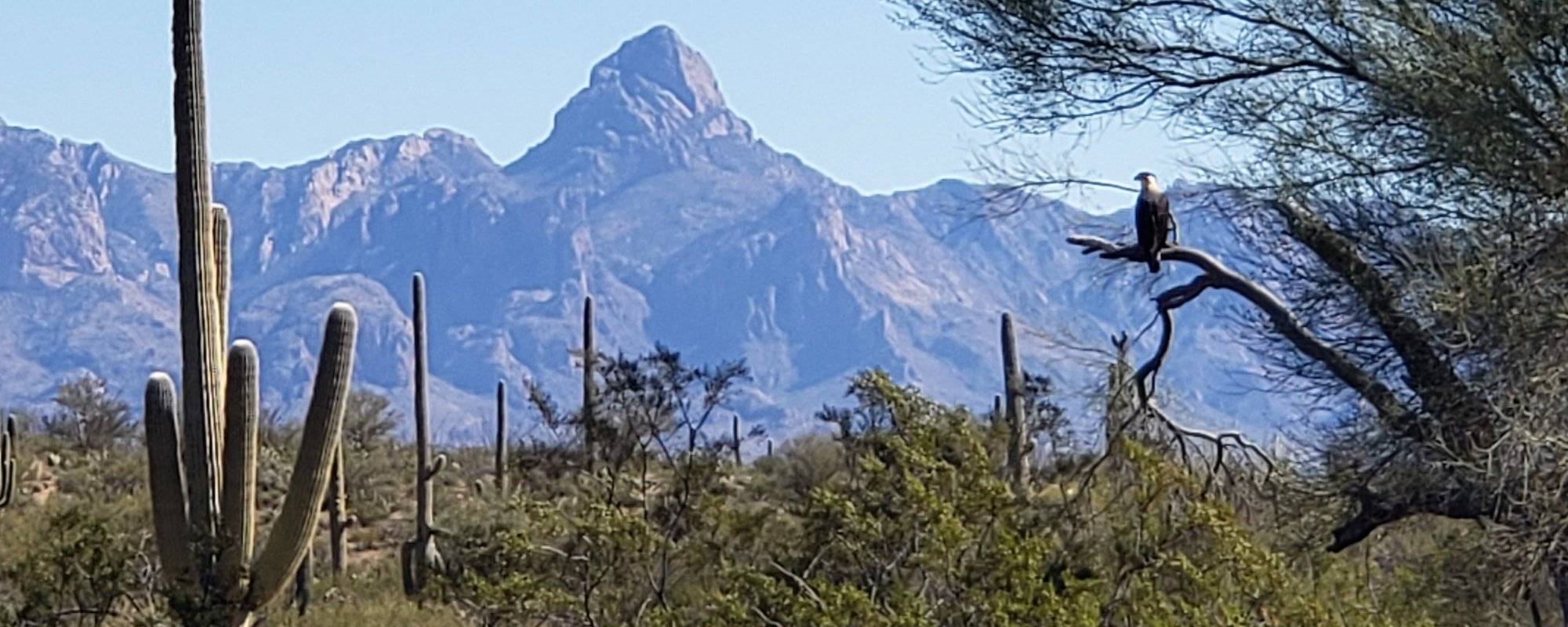 R2R Travelogue 5: Baboquivari, Sacred Peak in Arizona