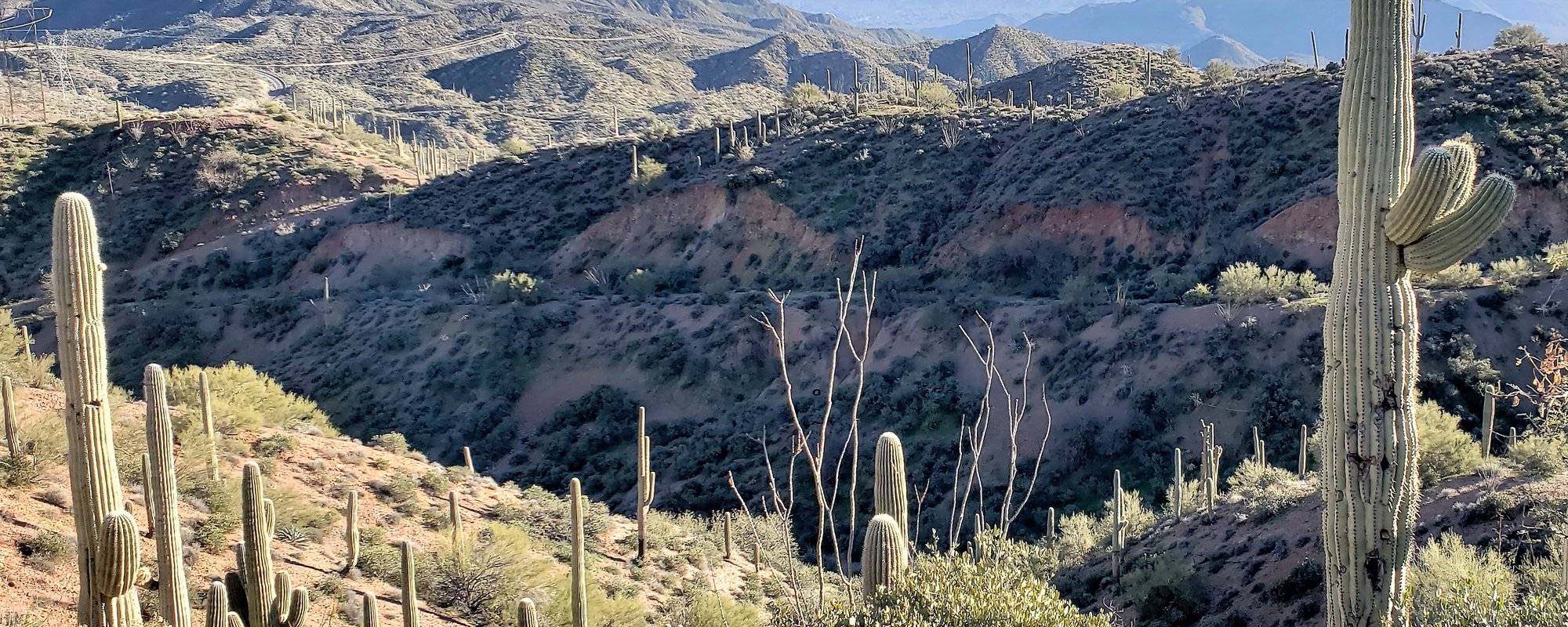 R2R Travelogue 3: Mogollon Rim, Copper Belt, and Sonora Desert