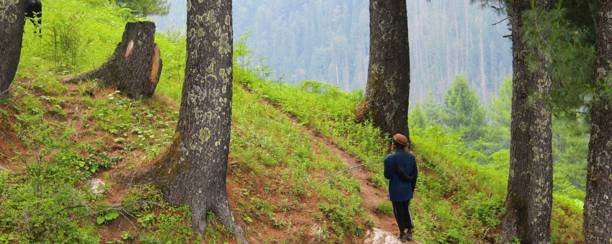 A trekking experience in the Himalayas - Buran Ghati Trek - Part #1