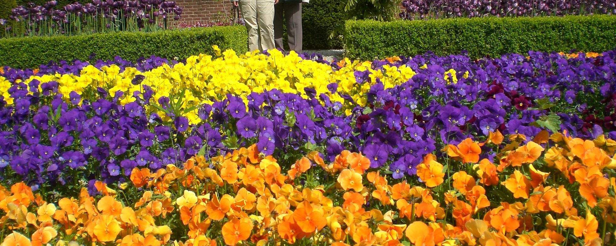 Welcome spring. A tour of the Keukenhof park - Holland