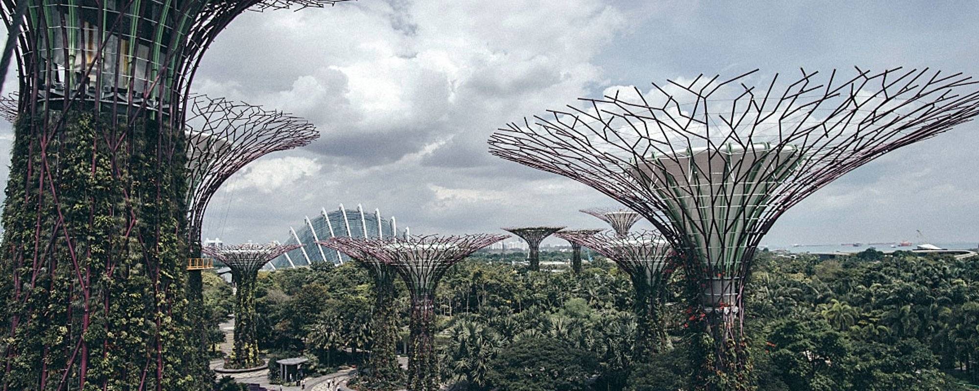 WHY YOU SHOULD VISIT CLOUD FOREST, FLOWER DOME AND THE OCBC SKYWAY IN SINGAPORE