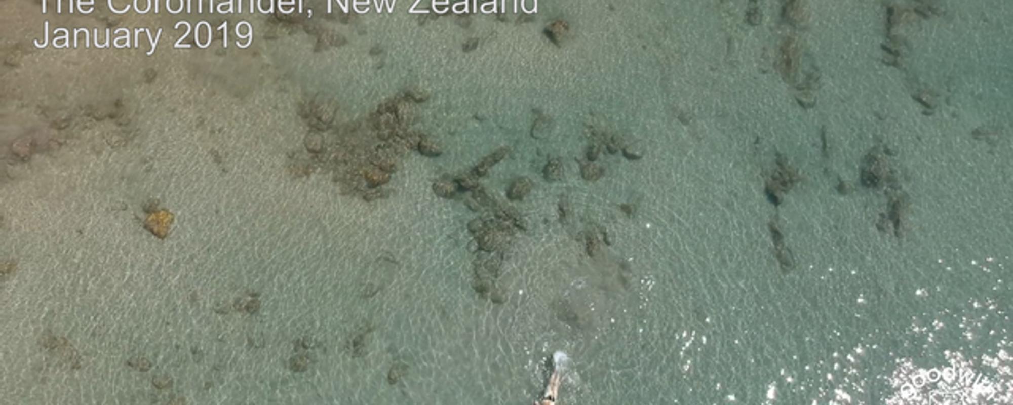 Hahei Beach, New Zealand - Drone Footage
