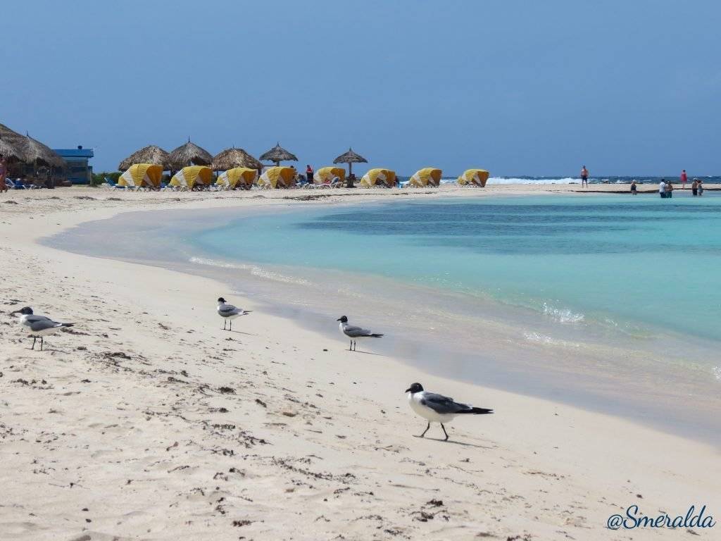 Baby Beach Aruba praia