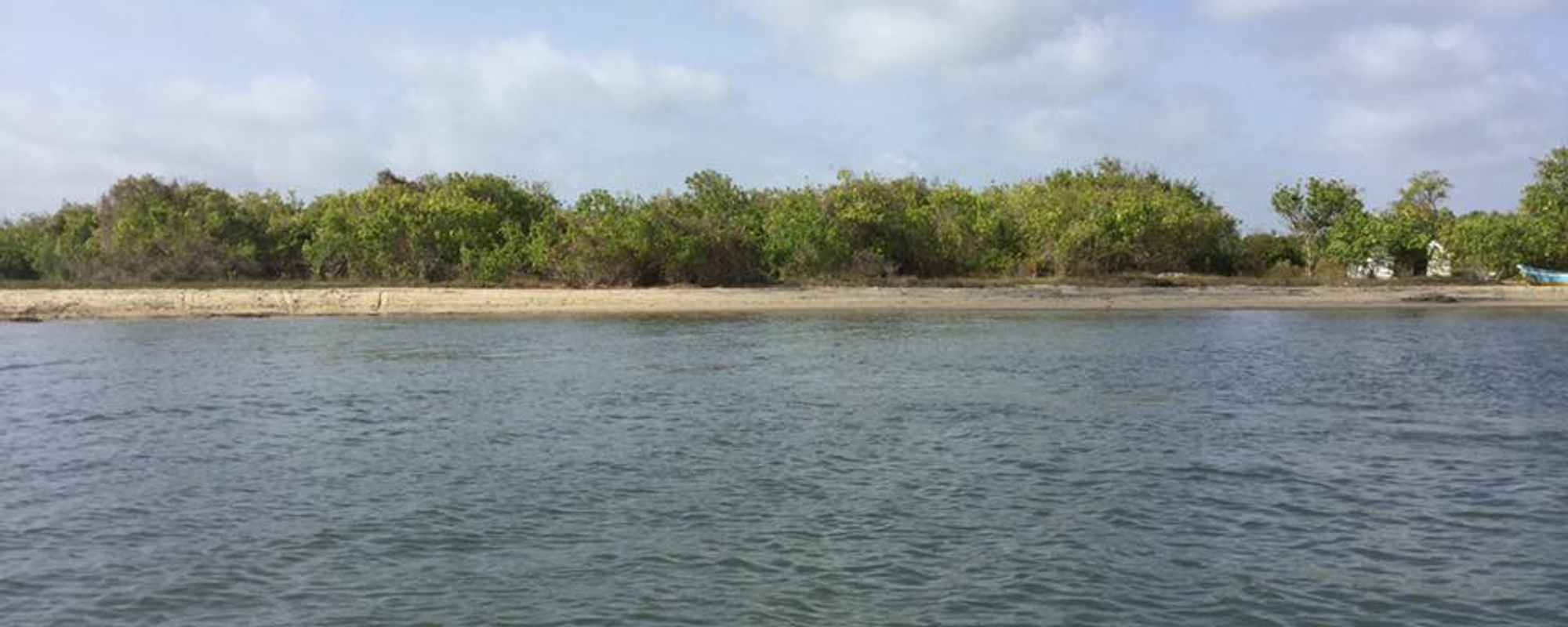 Gange wadiya that boasts a beautiful mangrove environment...
