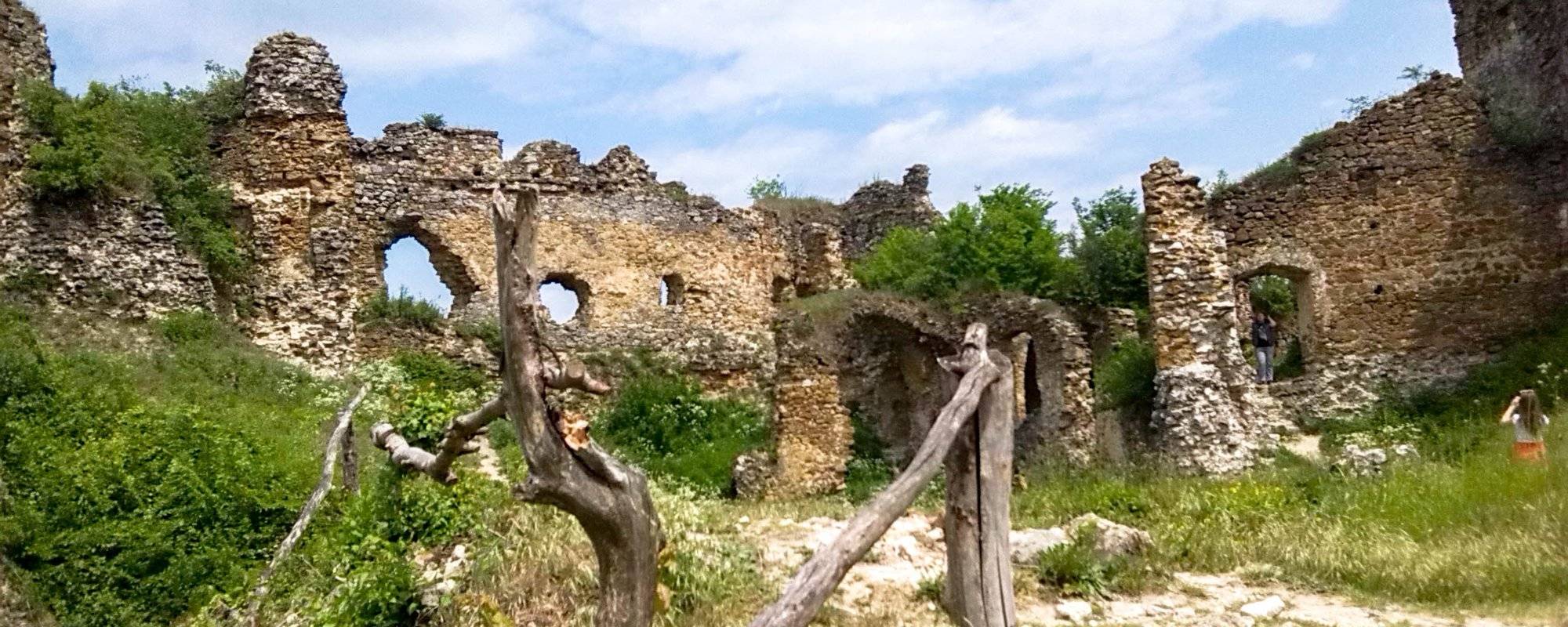 Ruins of the castle Čičva
