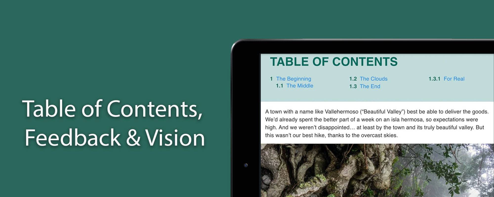 Table of Contents, Feedback & Vision