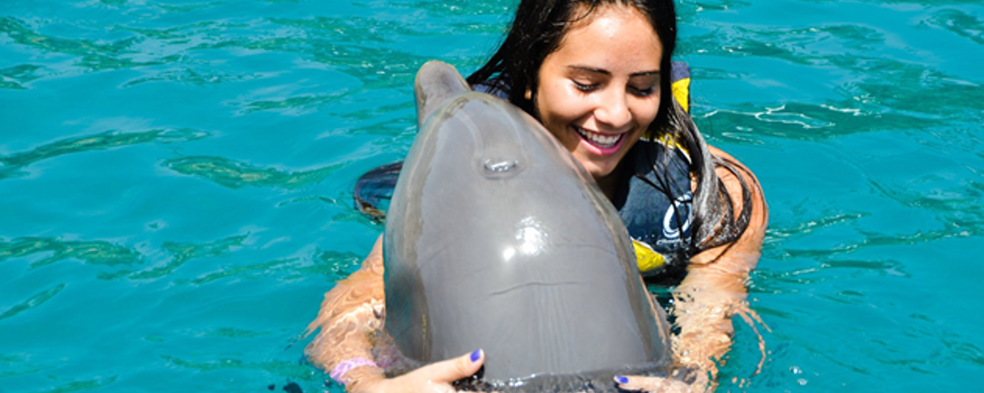 Swimming with dolphins in Ocean World / Dominican Republic