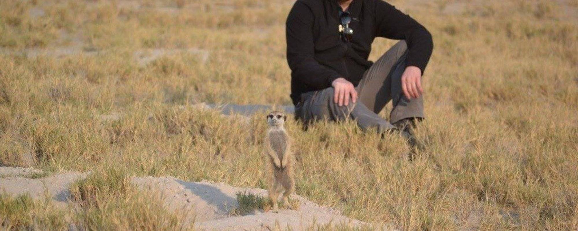 Lord Nigel's Travels - Botswana- Wild Meerkats
