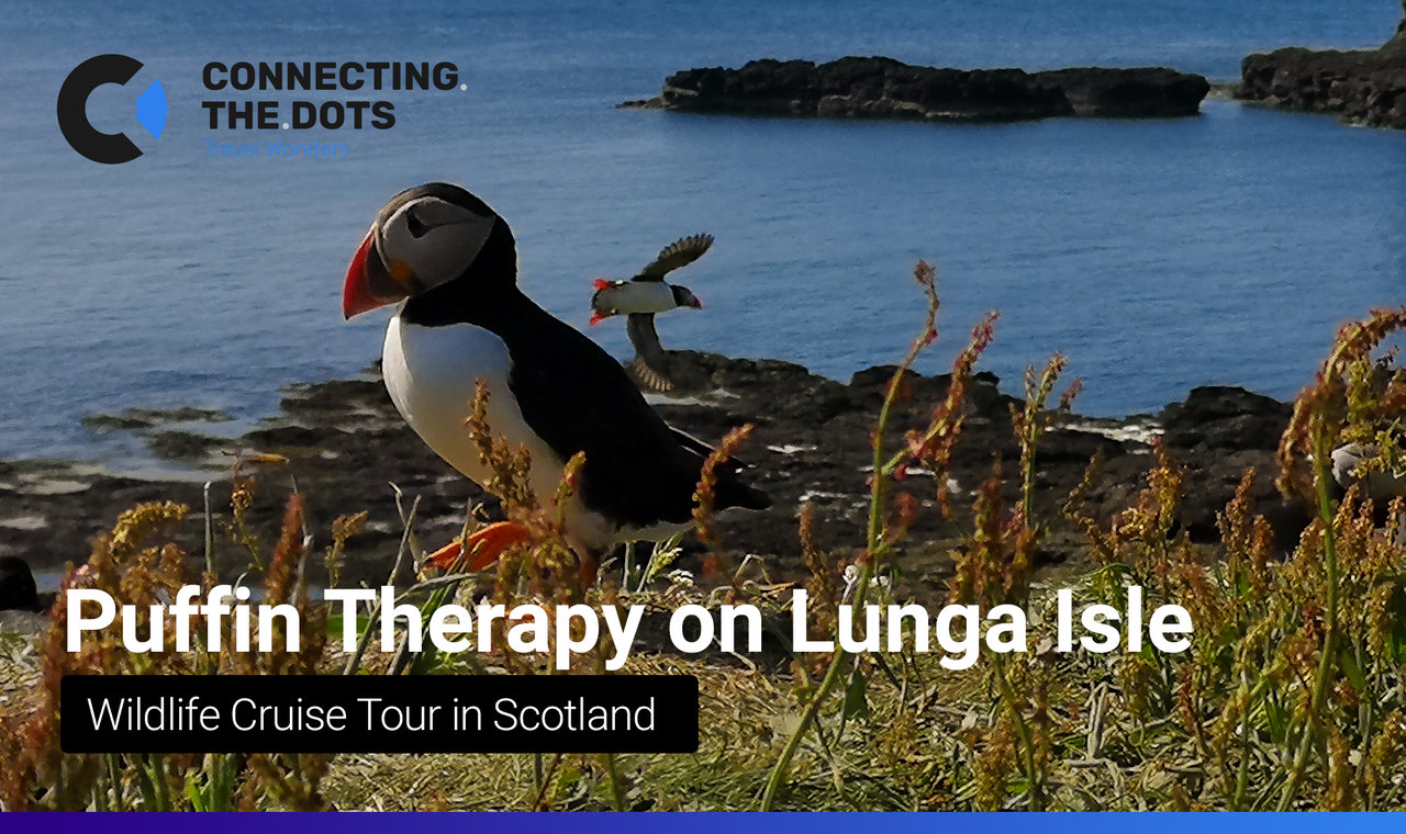 puffin-therapy-scotland.png