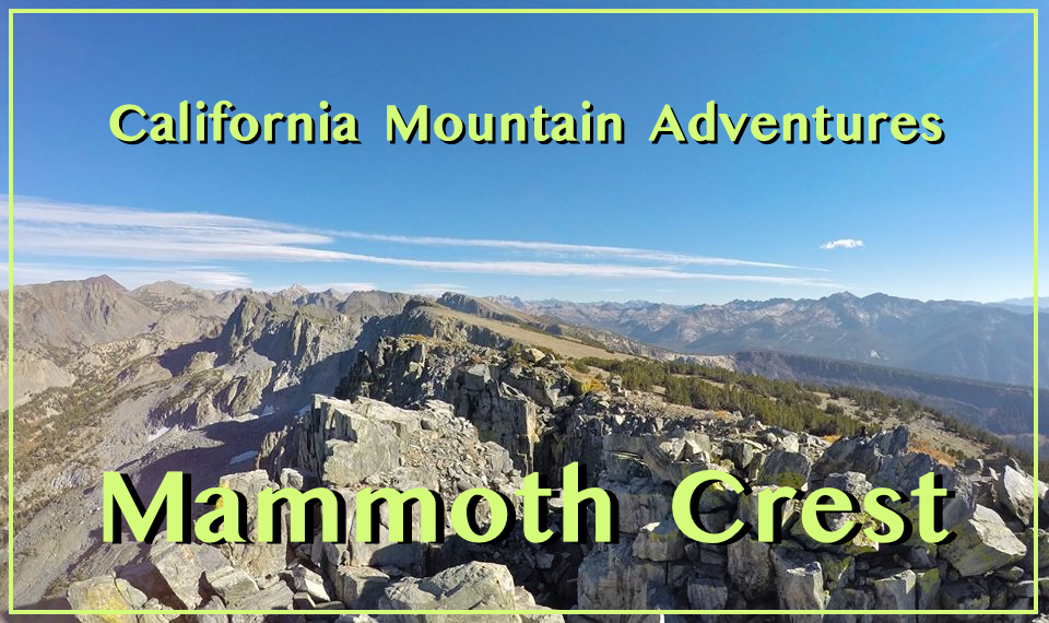 Mammoth crest cover.png