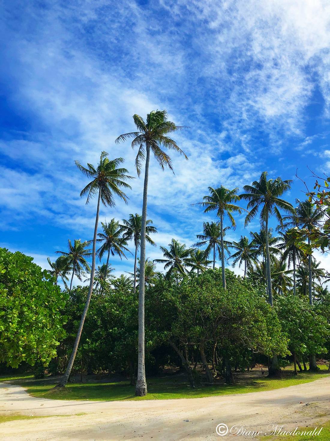 marae coconut grove.jpg