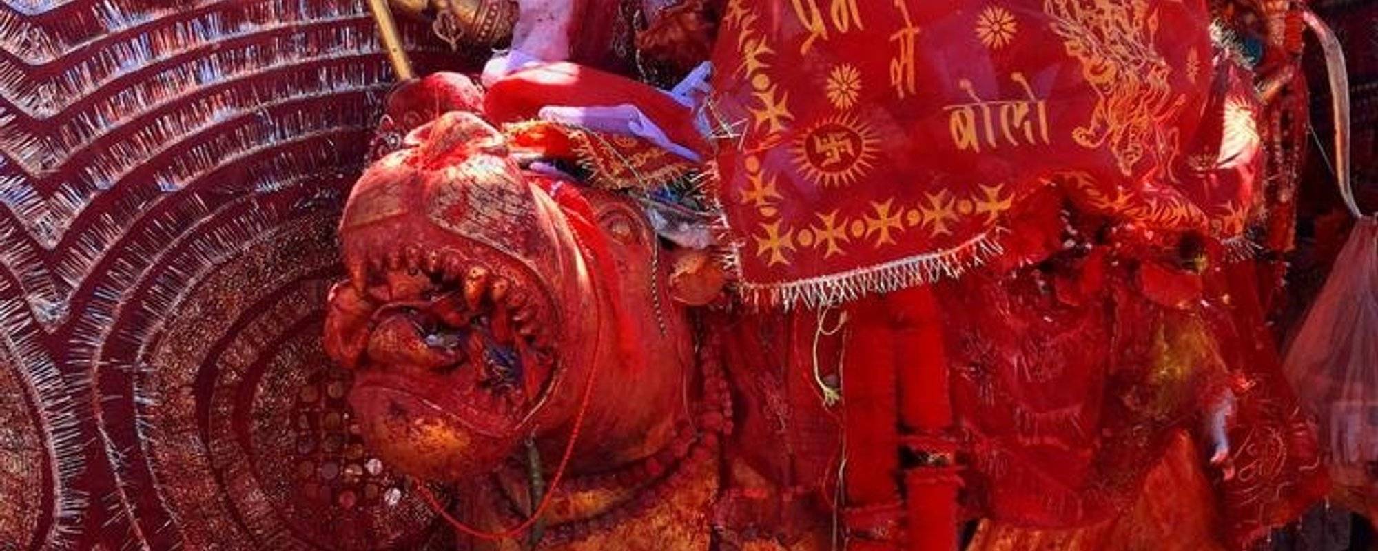 Beheaded Goat and Bloody Idol above the Clouds in Himalayan Temple