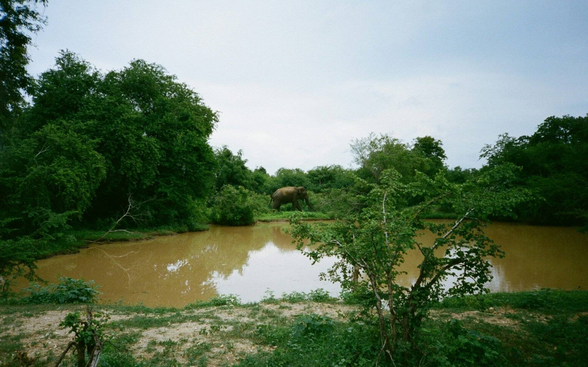 Udawalawe National Park