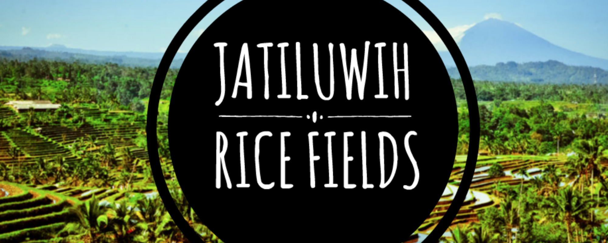 The Best Rice Field In Bali (That Nobody Knows About)