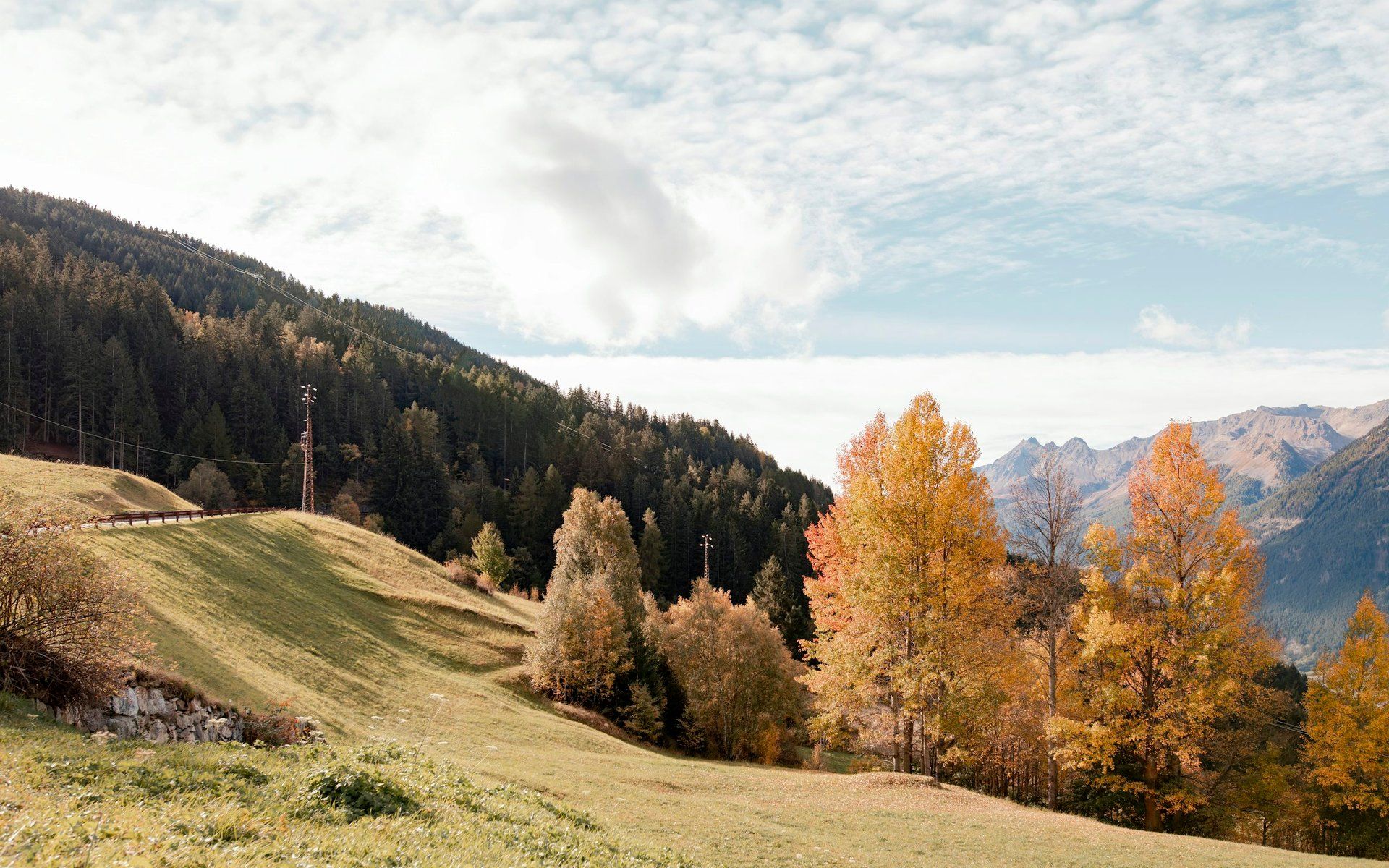 Bormio