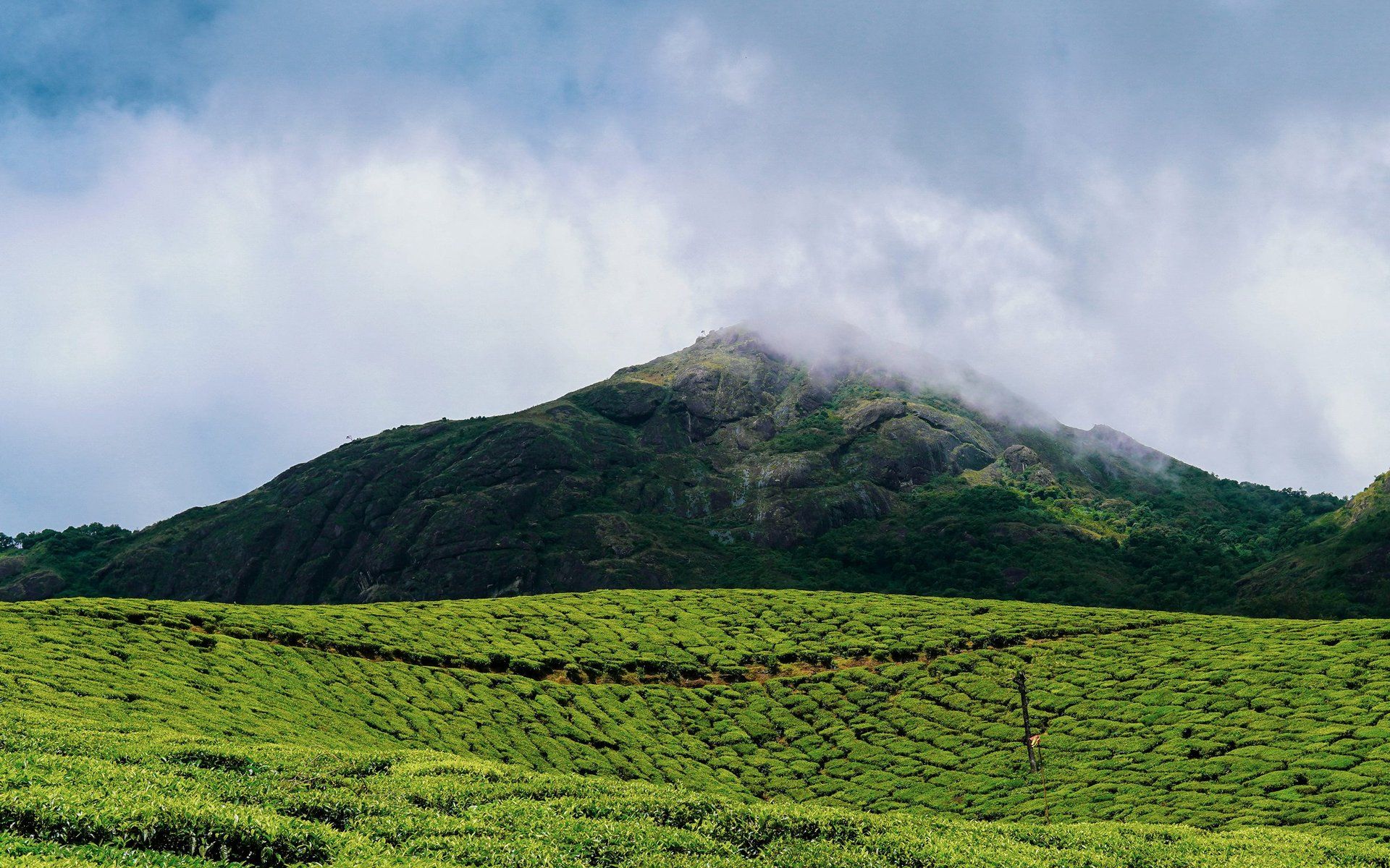 Kerala