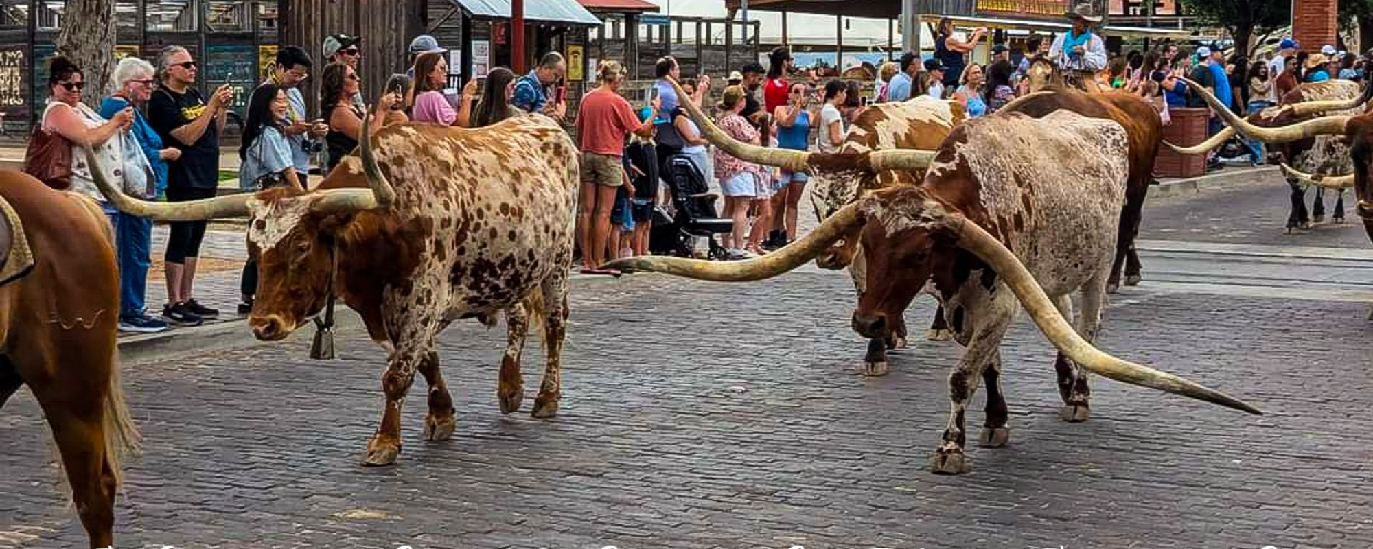 Visitando stockyards, Fort Worth 