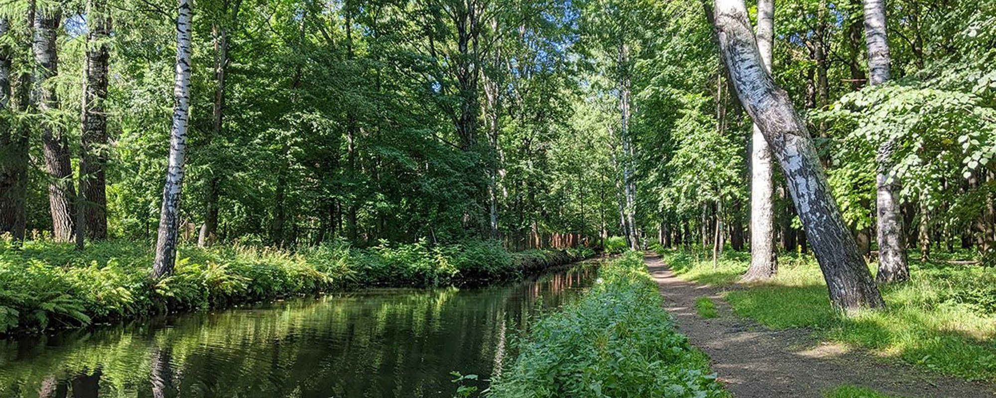 Wednesday Walk in the park of the Forestry Academy