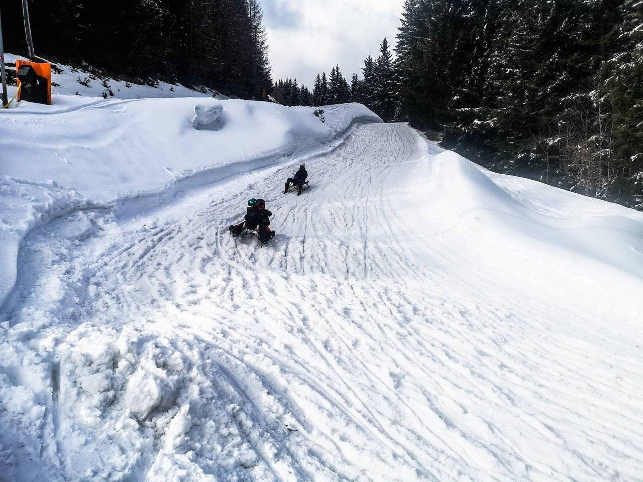   Even with your feet on the ground your sled will reach quite a speed. Breaking before any turn is essential. Photo by Alis Monte [CC BY-SA 4.0], via Connecting the Dots