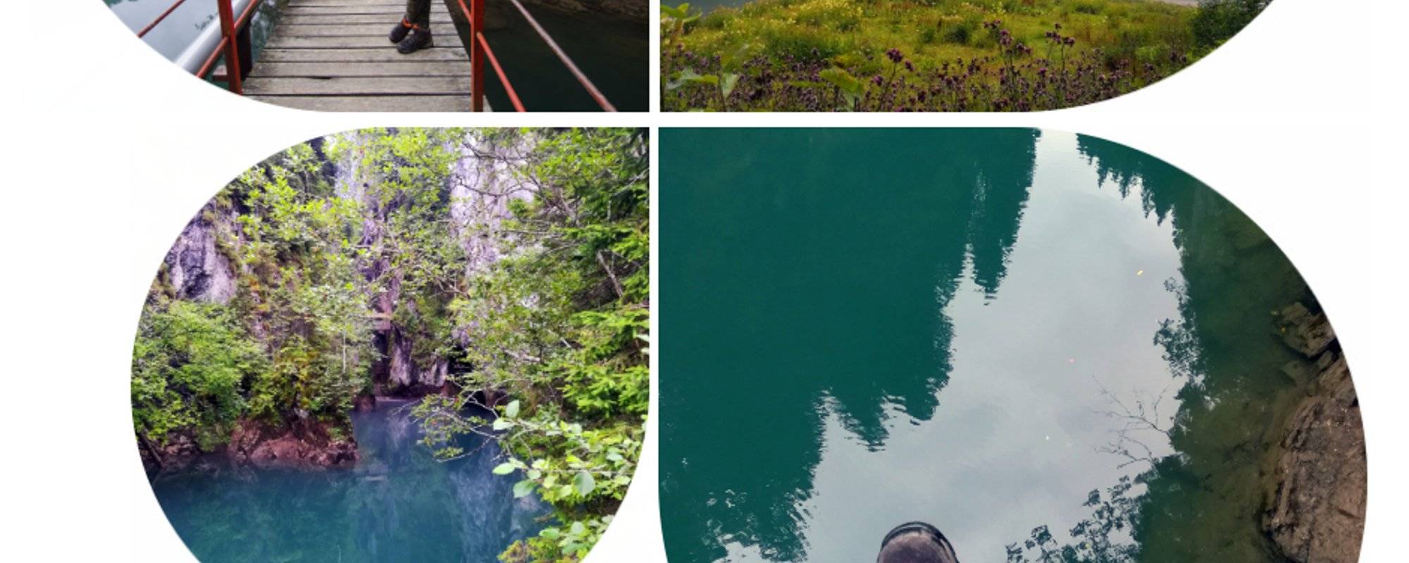 Let's travel together #111 - Lacul Scropoasa (Scropoasa Lake)
