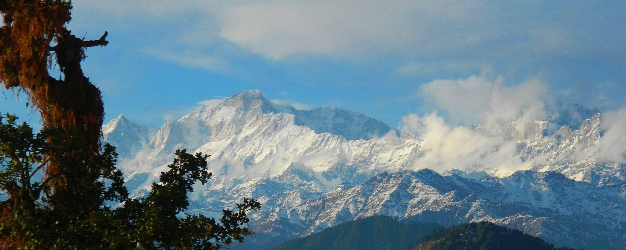 My first trekking Experience -  24th Birthday on the hills of Chopta Tungnath - Part 1