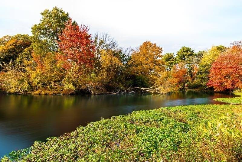 foliage autumn season Verona Park in New Jersey near montclair photography art