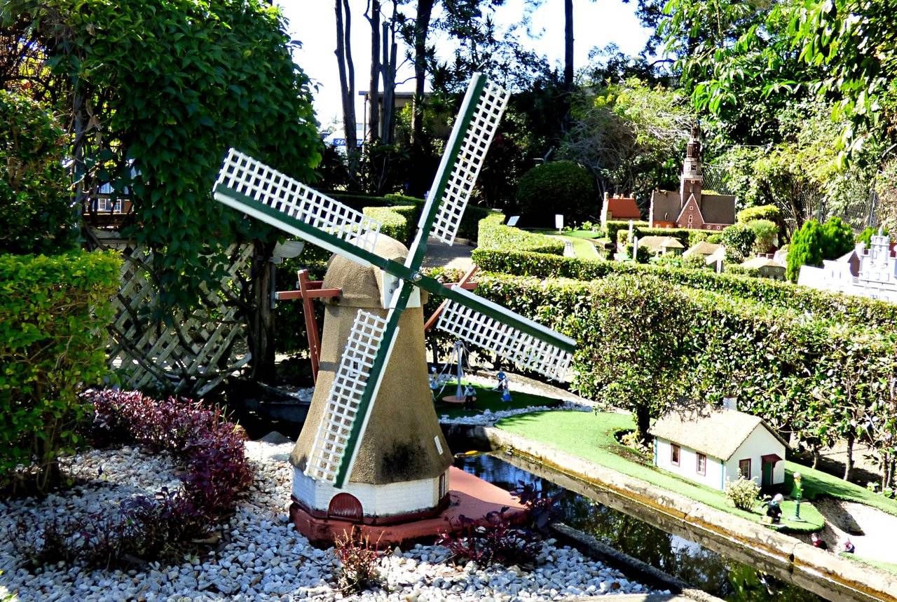 Windmill in garden.jpg