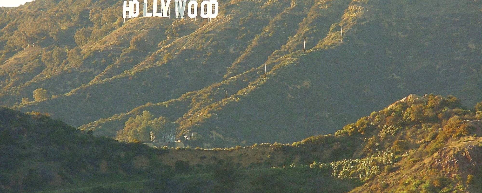 📷 USA trips ▶ set # 7 ▶ Los Angeles from Bird View