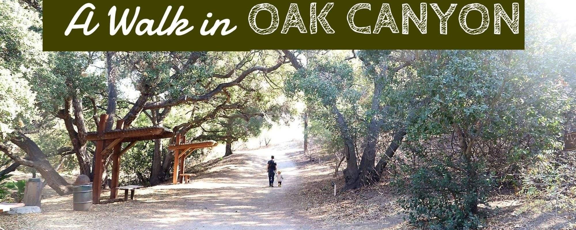 A Walk In Oak Canyon Nature Center - Anaheim, CA