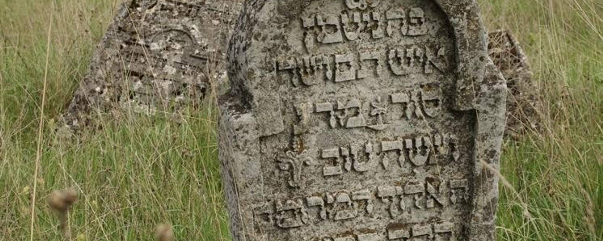 Discover Ukraine. Old Jewish cemetery in Sataniv, Podilia ~ p.#4