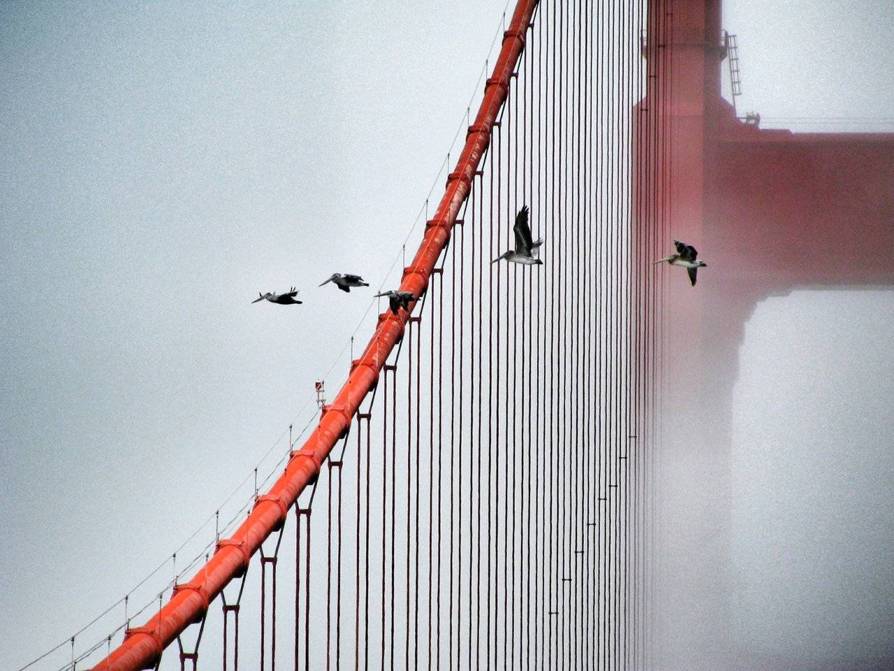 Golden Gate Bridge (22).jpg