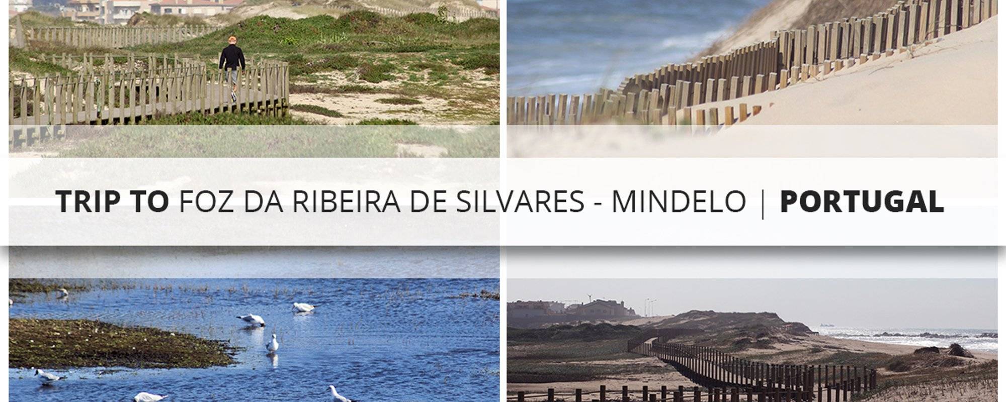 Trip to Foz da Ribeira de Silvares - Mindelo | Portugal