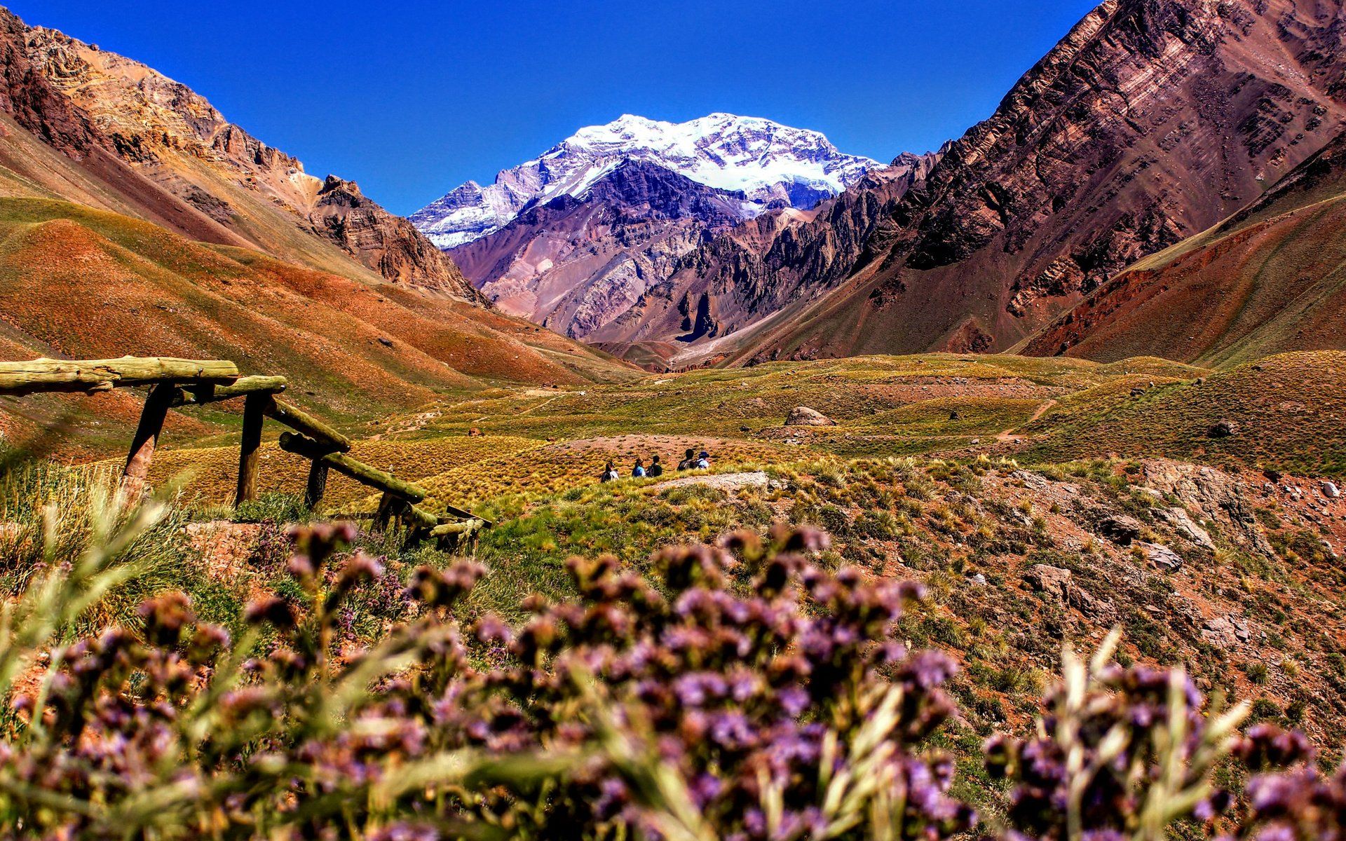 Mendoza