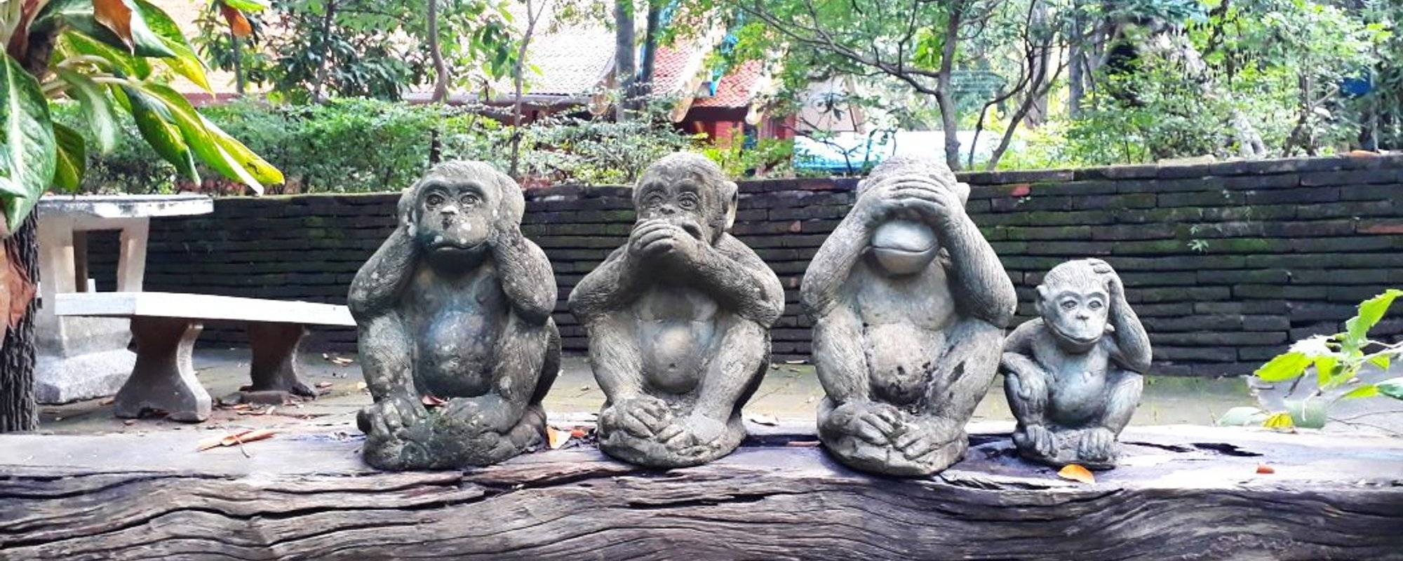 Travel Pro Places of Interest #247: The Buddharma Garden, Chiang Mai Thailand! Final Part Four