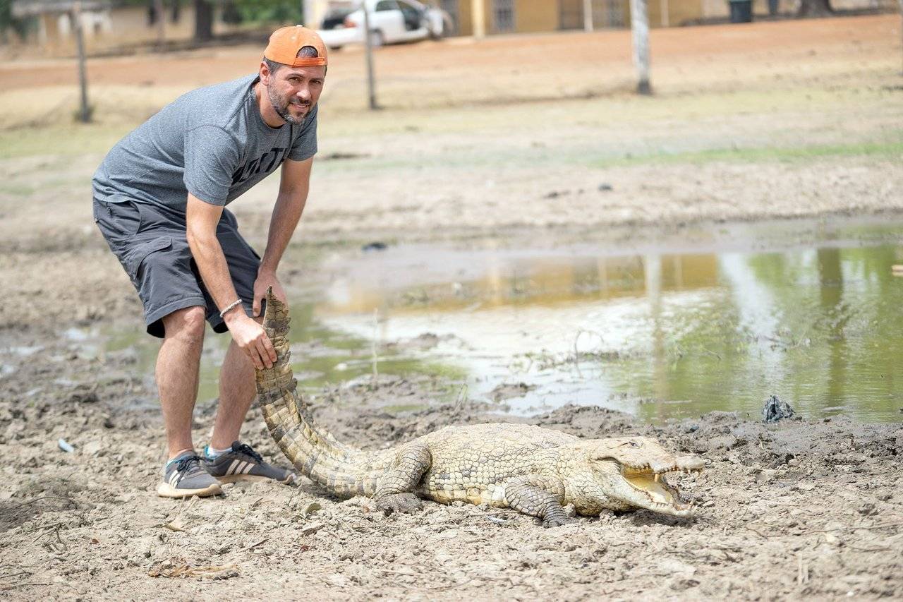 Paga Crocodiles