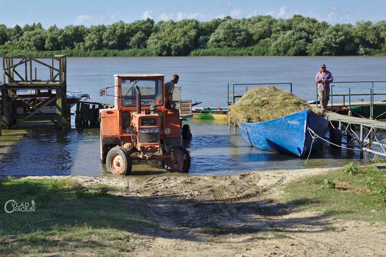 moving hay from boat to tractor