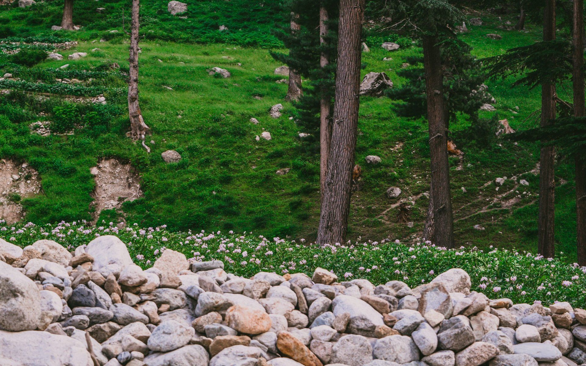 Azad Kashmir